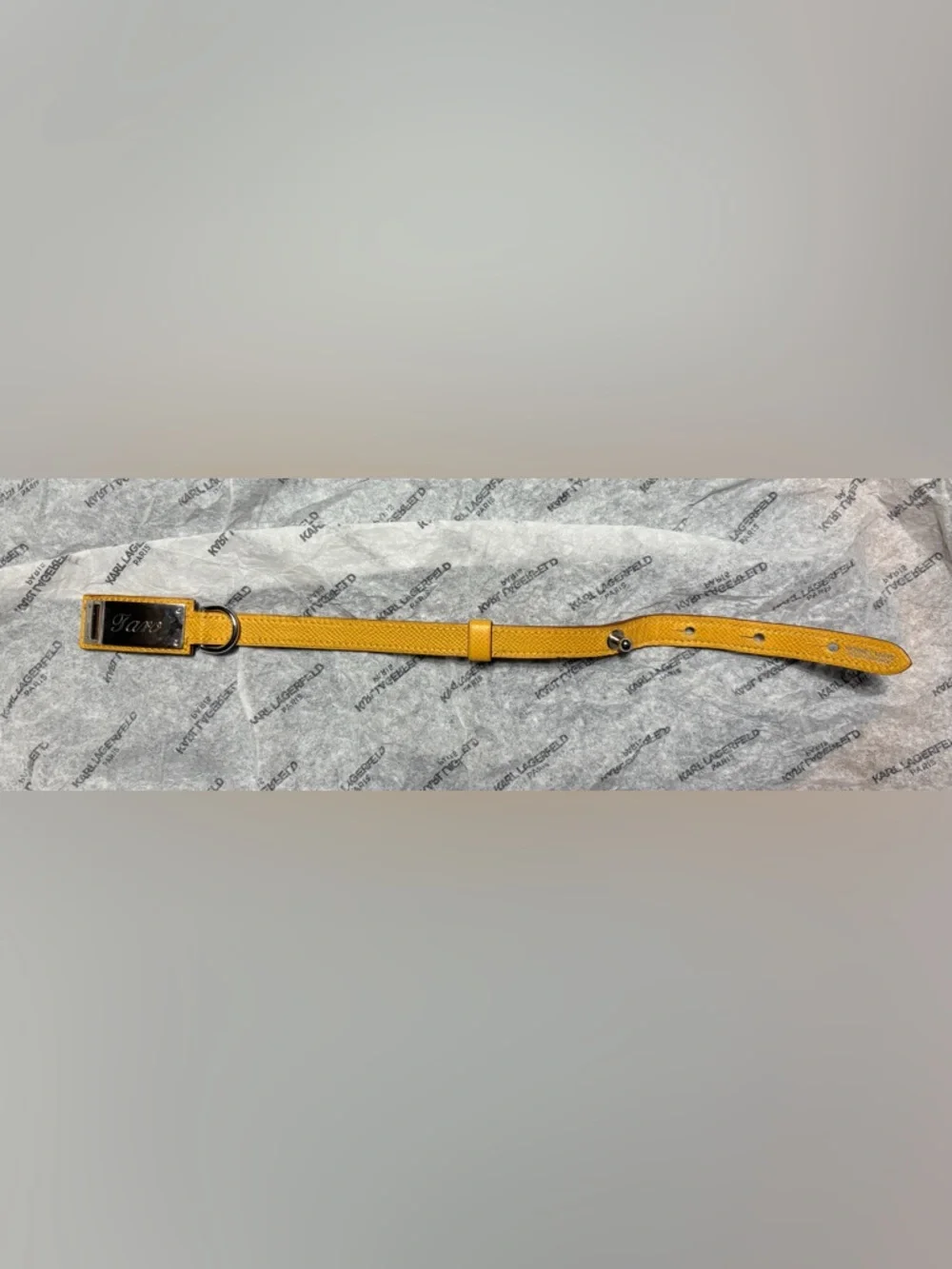 Hermès Yellow Epsom Leather Dog Collar Bracelet PM Palladium Engraved “Toro” COA - Picture 8 of 9